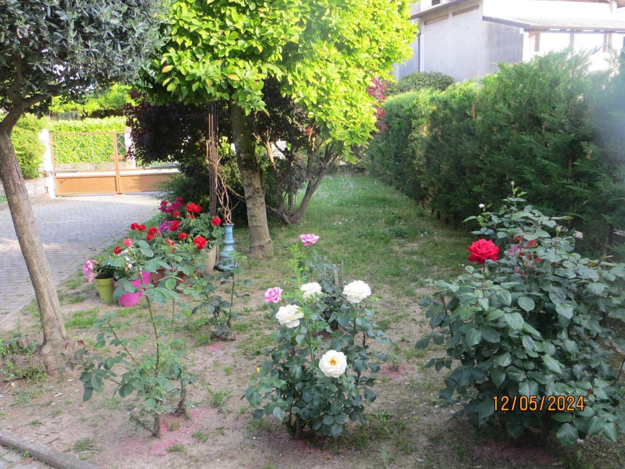 5 Palme Bed & Breakfast Terzo d' Aquileia Exterior photo