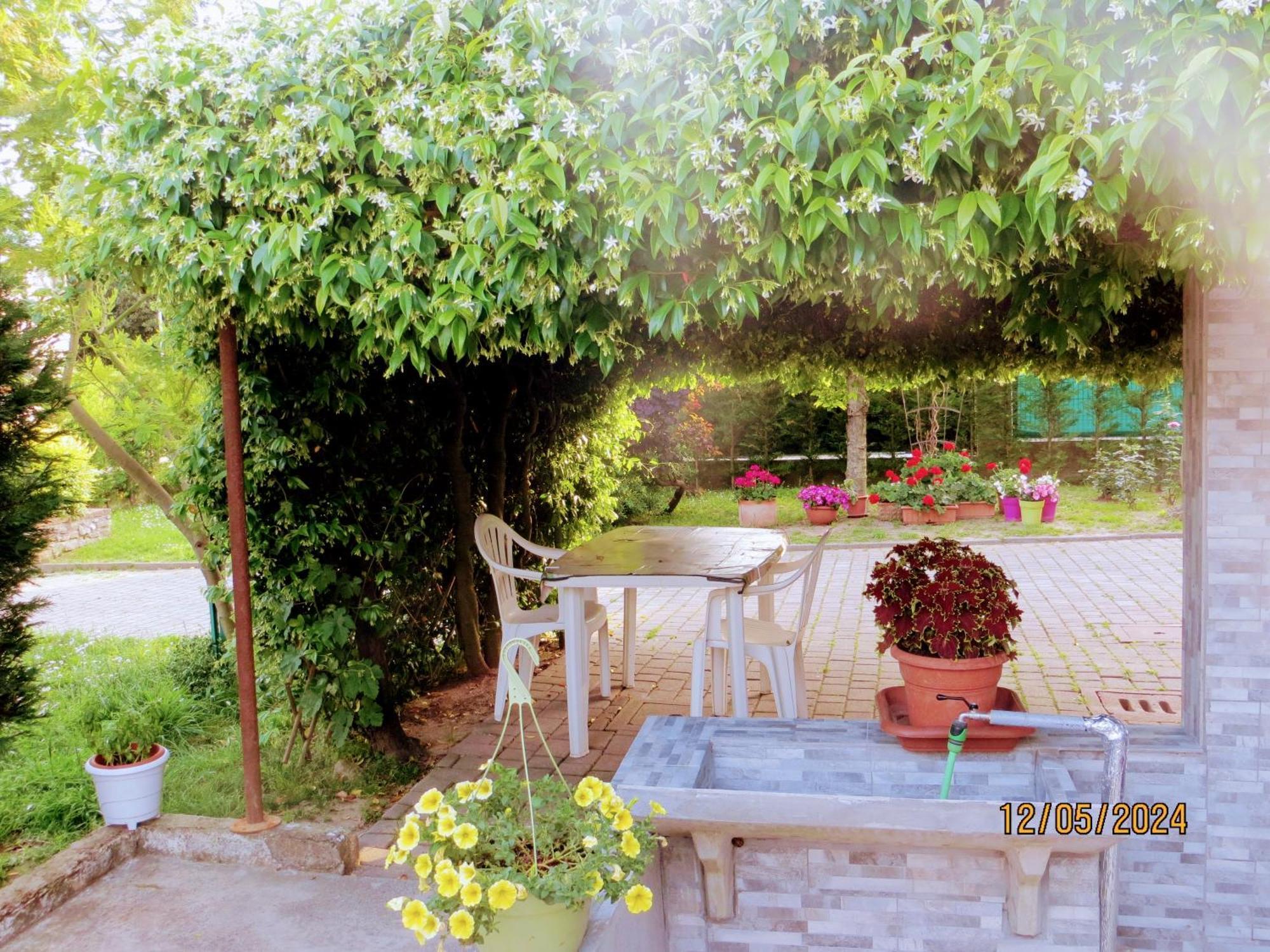 5 Palme Bed & Breakfast Terzo d' Aquileia Exterior photo